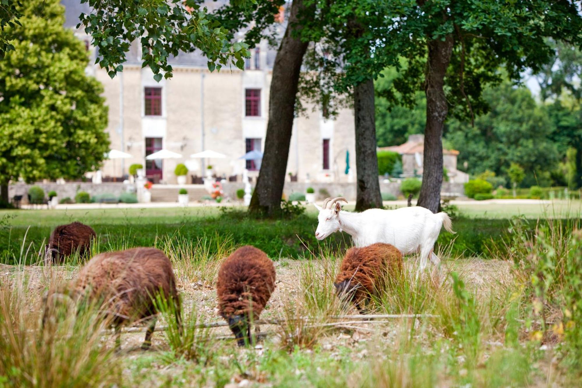 Chateau De La Verie شلانس المظهر الخارجي الصورة