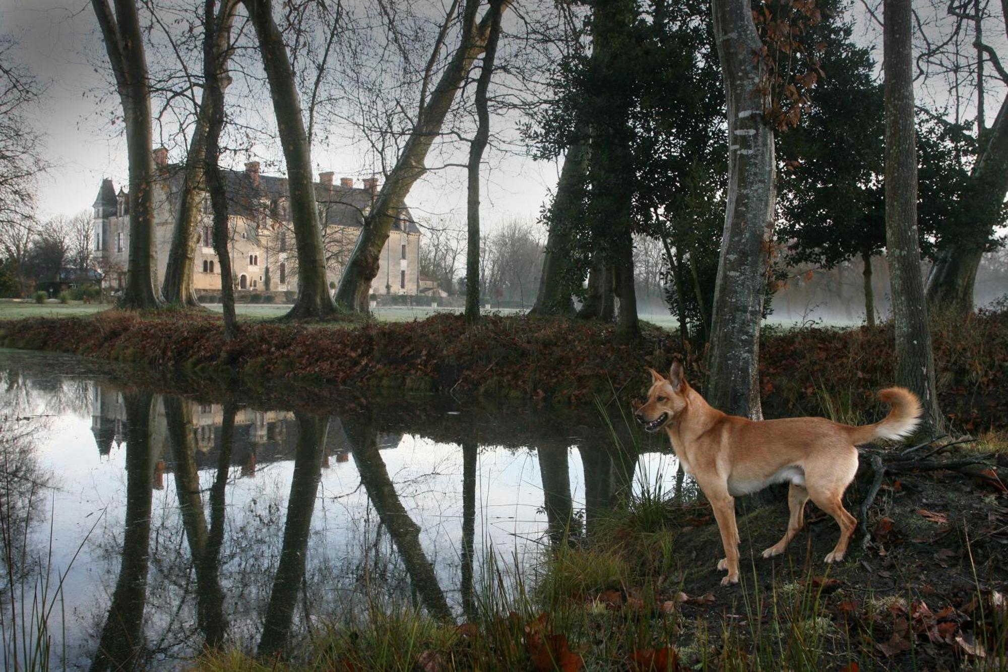 Chateau De La Verie شلانس المظهر الخارجي الصورة